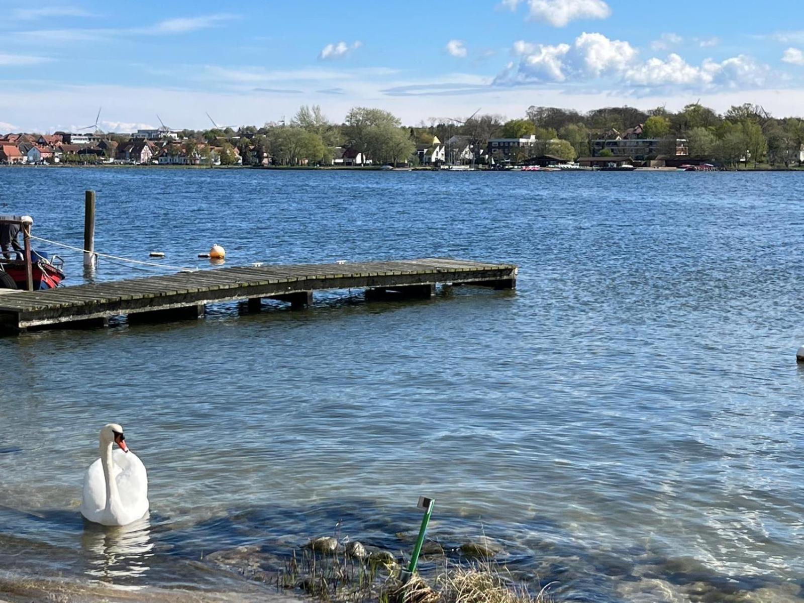 Lieblingshafen Heiligenhafen
